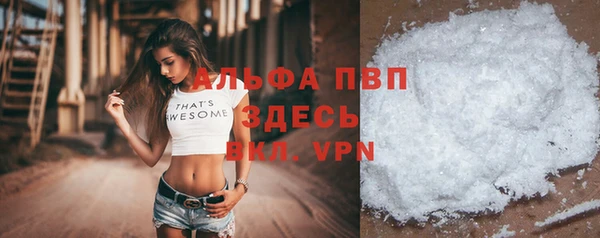 хмурый Алексин