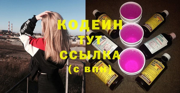 хмурый Алексин