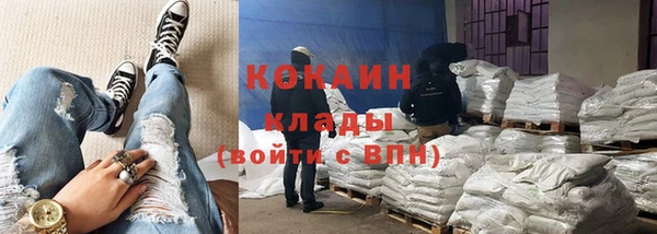хмурый Алексин