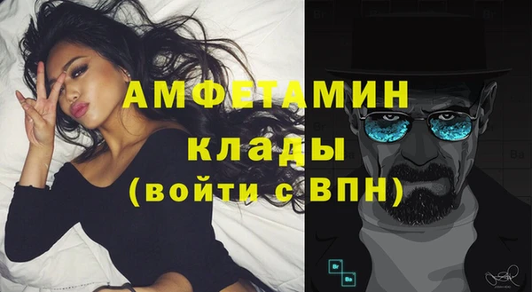хмурый Алексин